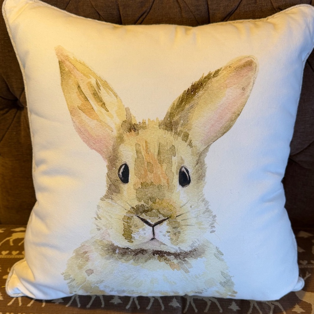 Rabbit Bunny Screen Printed With Fuzzy Ball Tail 20" Square Accent Toss Pillow